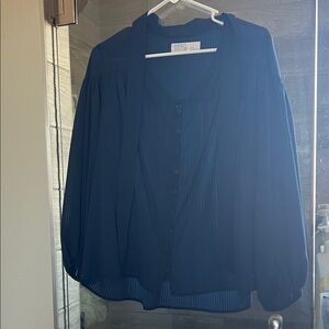 Time and Tru Navy Sheer Pleated Button-Front Blouse